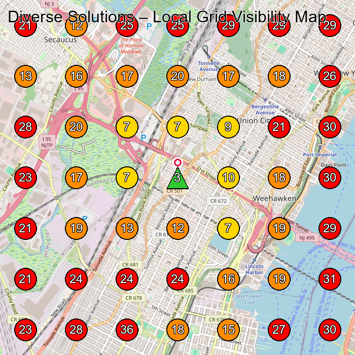 Diverse Solutions GeoGrid visibility map for Health Insurance Agency in Newark